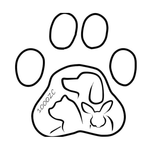 1000Zaracotas cashback