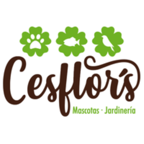 Cesflor's cashback