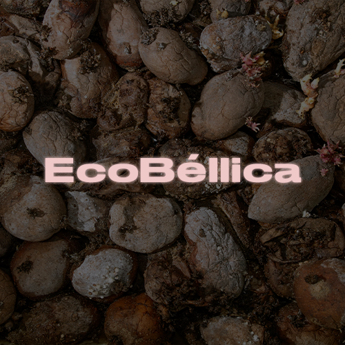 EcoBéllica cashback