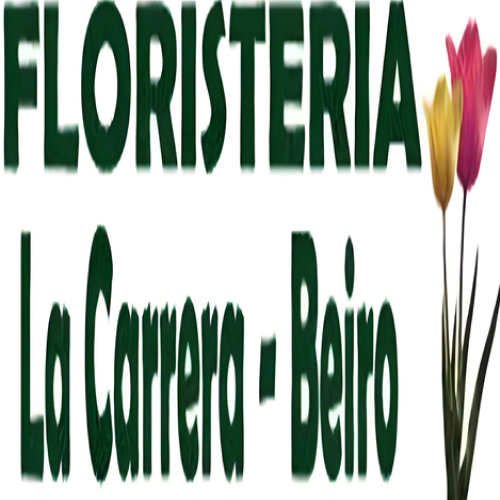 Floristeria "La Carrera-Beiro" cashback