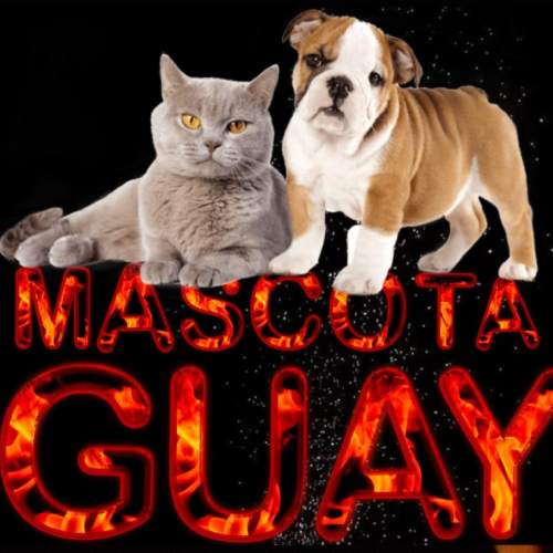 Mascota Guay cashback
