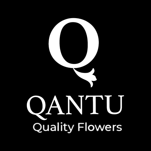 Qantu cashback